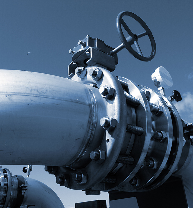 তরল জগতের 'গার্ডিয়ান অফ কন্ট্রোল'